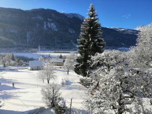 Wunderschöner Schnee!